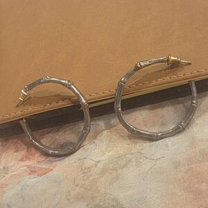 Silver and Gold Colored Bamboo Hoop Earrings